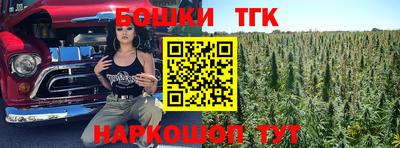 МДПВ Гагарин