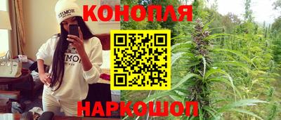 мдпв Гай