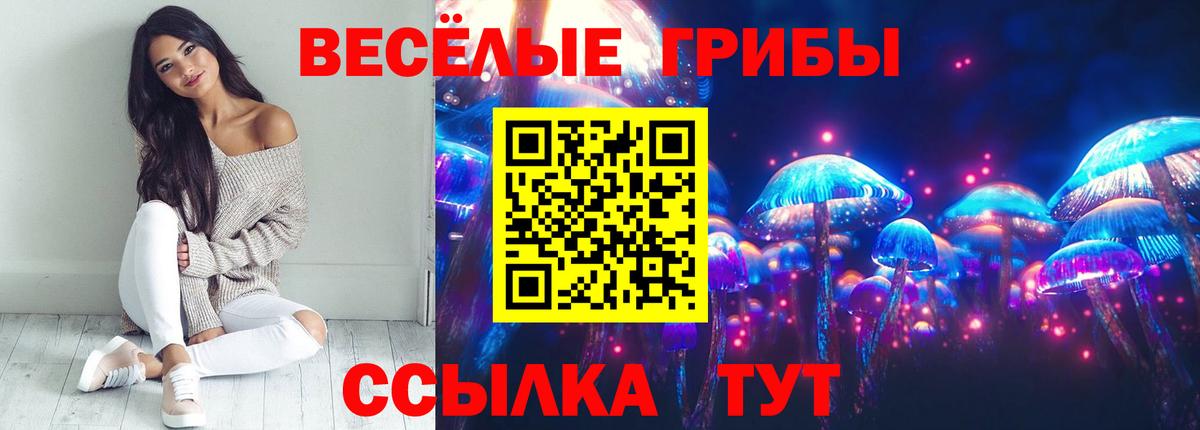 Псилоцибиновые грибы GOLDEN TEACHER  Вход с VPN  Щёлково 